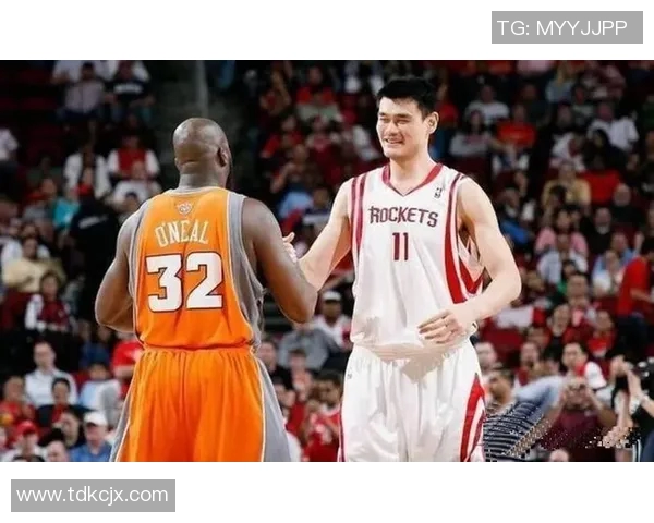 姚明在奇才队遭遇严重伤病影响职业生涯前景引发广泛关注 姚明在奇才队遭遇严重伤病影响职业生涯前景引发广泛关注