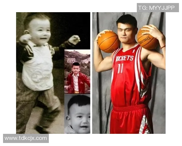 普林斯深度剖析姚明的篮球生涯与影响力的独特视角